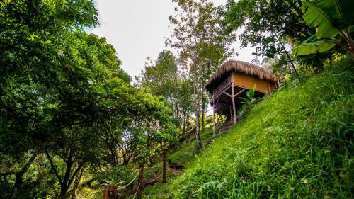 527983506 Hotel Kawa Mountain Retreat