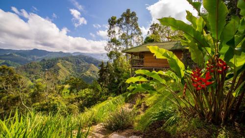 527983514 Hotel Kawa Mountain Retreat