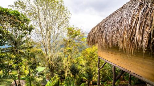 527983569 Hotel Kawa Mountain Retreat