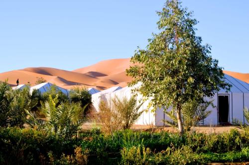 Morocco desert camp in Merzouga