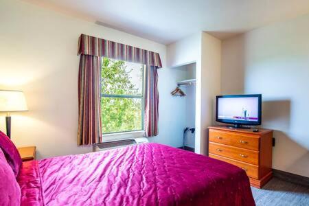 The Vistas 119 Modern studio with full kitchen 1st floor great location - main image