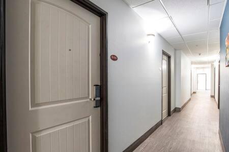 The Vistas 119 Modern studio with full kitchen 1st floor great location - image 5