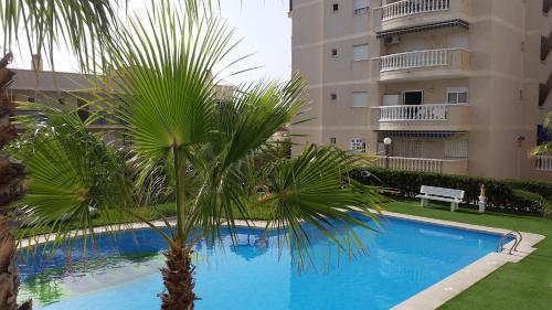 Faciliteiten, Arenales Beach Boutique Apartment in Arenales Del Sol