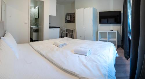 Urban Oasis with Queen Bed and View BE-13, Zurich (photo 3)