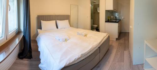 Urban Oasis with Queen Bed and View BE-13, Zurich (photo 2)