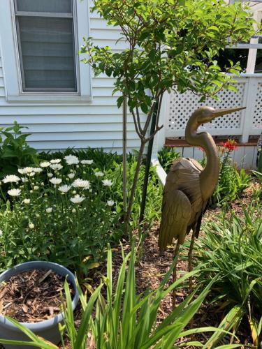 Cozy Algoma Retreat! Minutes to Beach and Downtown! in Algoma, USA