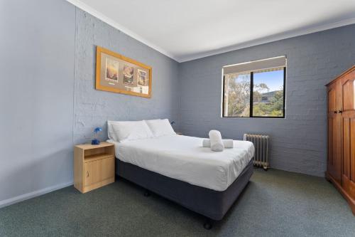 Alpine Mountain View 18 4 bedroom Jindabyne Unit with Wifi