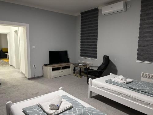 Apartment Grey Deluxe - image 2