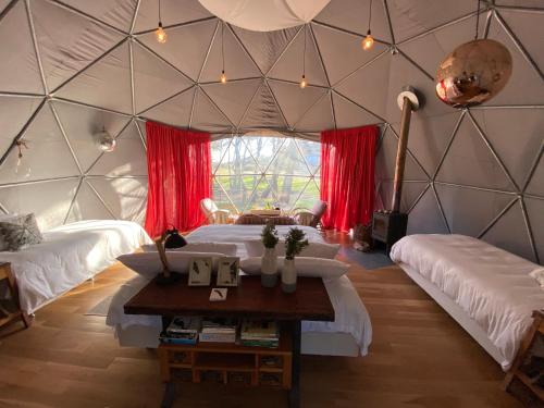 Big Bang Nature Stays in Sauce de Portezuelo