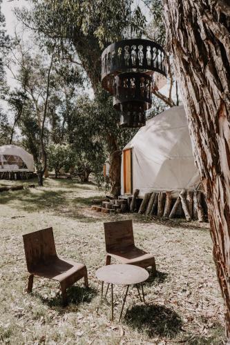 Kilátás, Big Bang Nature Stays in Sauce de Portezuelo