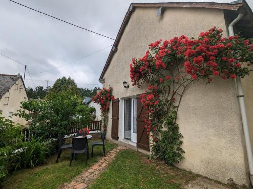 Gîte 7 pers avec jardin, vélos, proche Zoo de Beauval et Château de Valençay - FR-1-591-60 (Gite 7 pers avec jardin, velos, proche Zoo de Beauval et Chateau de Valencay - FR-1-591-60) in Jeu-Maloches