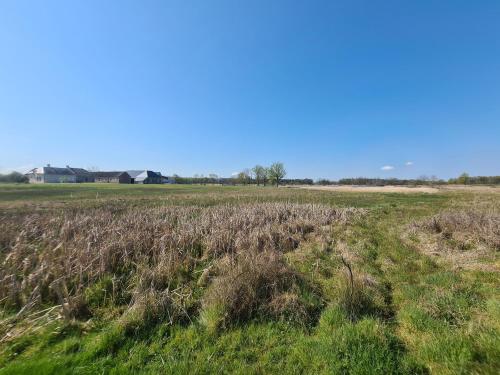 Gîte en Brenne avec Terrasse et Garage Privé - FR-1-591-316 (Gite en Brenne avec Terrasse et Garage Prive - FR-1-591-316) in Chenonceaux