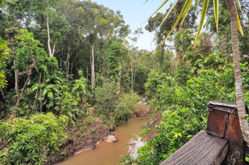 Kuranda Rainforest Chalet