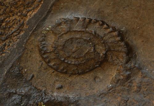 The Old Priory图片