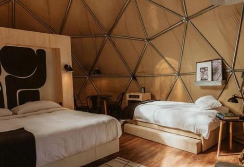 Big Bang Nature Stays Uruguay