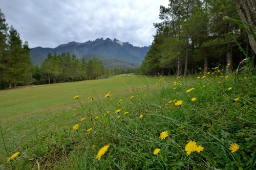 H Benjamin Residence