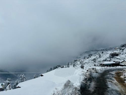 Himalayan Canvas