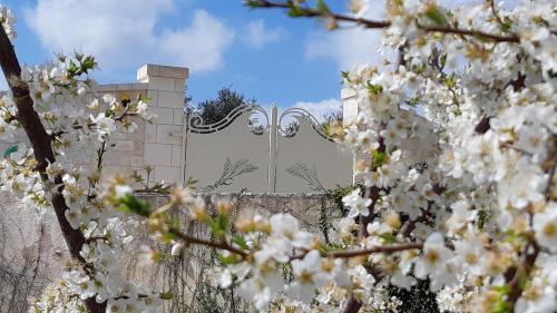 VILLA KARMEL Valle d'Itria