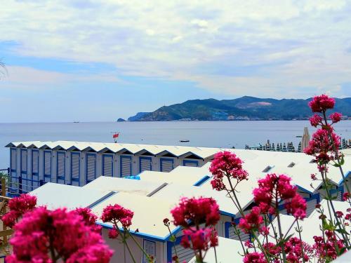 Sweet Sea View