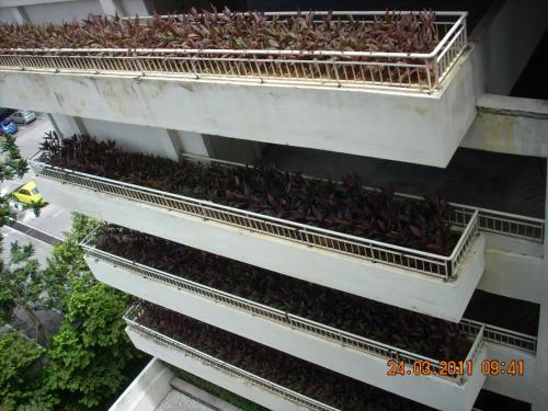 Park Avenue, Saujana Damansara near Damansara Damai Medical Centre