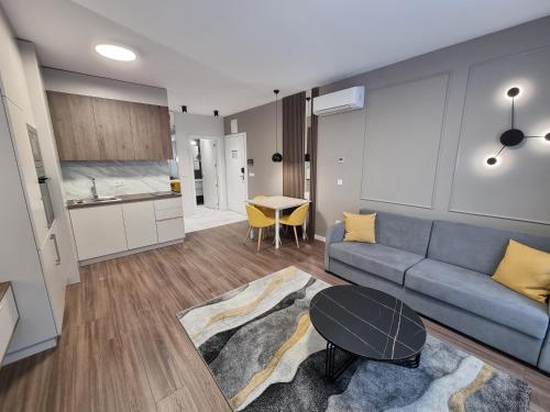 Mona Living Room Type - One-Bedroom Apartment Mona Living Room Type - One-Bedroom Apartment