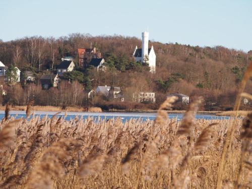 Gut-Rattelvitz-Parterre-C-hochwertig-Sauna-Kamin-eTankstelle-Spielscheune-15-000qm-Parkland