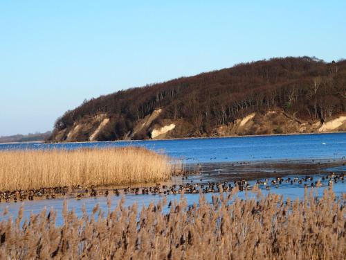 Gut-Rattelvitz-Parterre-C-hochwertig-Sauna-Kamin-eTankstelle-Spielscheune-15-000qm-Parkland