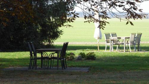 Gut-Rattelvitz-Galerie-F-hochwertig-Sauna-Kamin-eTankstelle-Spielscheune-15-000qm-Park-Land in Gingst