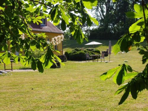 Gut-Rattelvitz-Galerie-F-hochwertig-Sauna-Kamin-eTankstelle-Spielscheune-15-000qm-Park-Land in Gingst