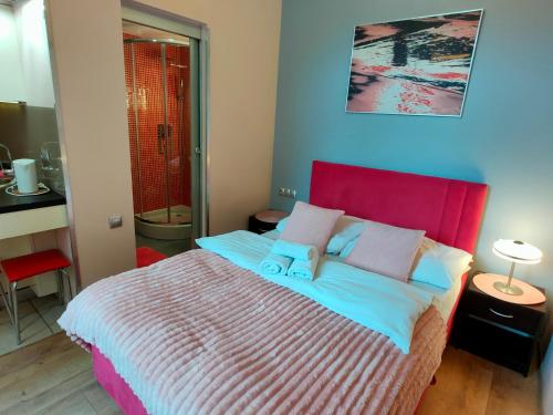 Mirror Pink Studio Apartment, Cracovie (photo 4)