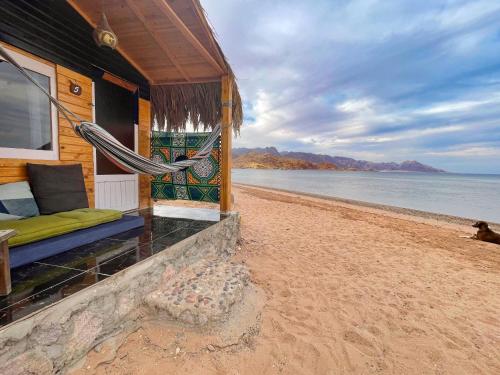 Вид, Live the bedouinlife in Нувейба