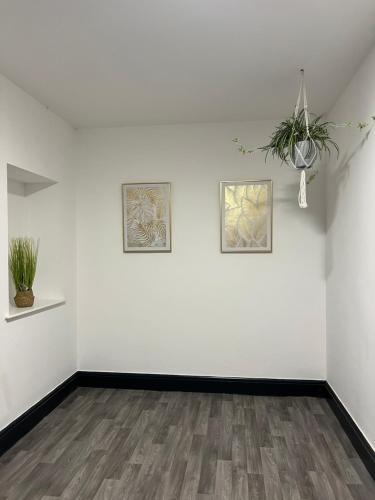 No 8 Plants Yard Modern studio in Worksop in Worksop