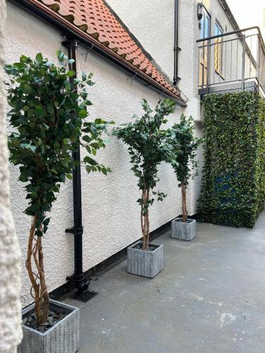 Vista exterior, No 8 Plants Yard Modern studio in Worksop in Worksop