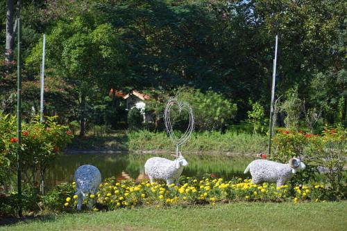 Baan Pingkan Wellness Resort