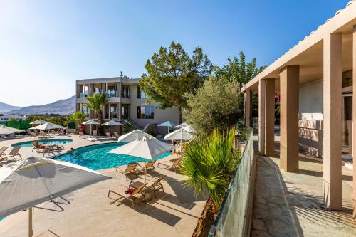 White Olive Premium Lindos - image 5