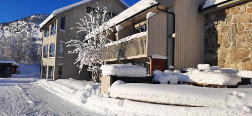 Bykle Hotel - image 14