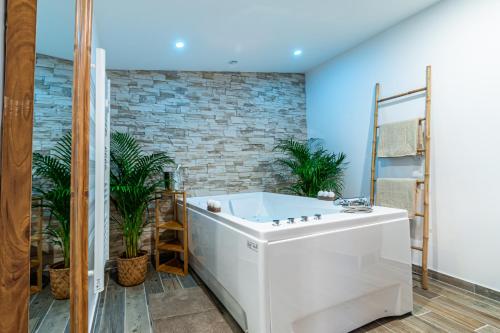 Éden Spa & Cinéma gîte à louer Les Essarts-le-Roi