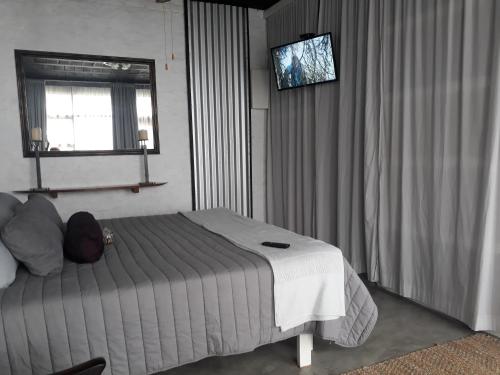 King Protea Self Catering Flat