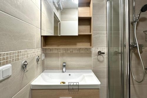 Badezimmer, NEW - T2 entre Disney et Paris in Lognes