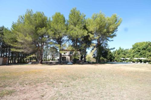 charming house with private pool in lagnes, near isle sur la sorgue, in the luberon, in Provence, for 8 people