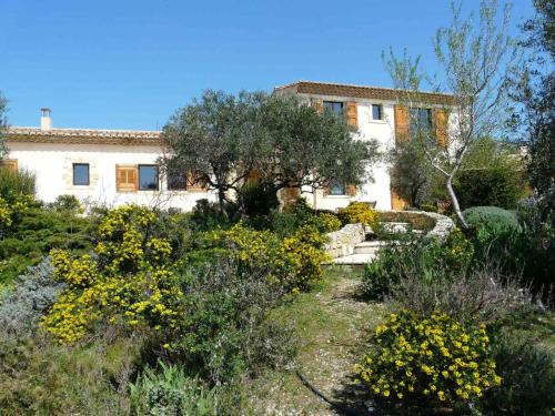 luxury mas with heated pool in the heart of the alpilles, 10 persons