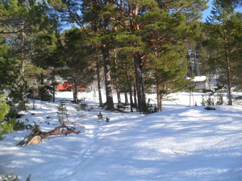 Orset setra - back to basic cabin - with amazing view in Torvikbukt
