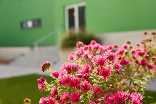 Good Rooms GmbH Guntramsdorf - image 14