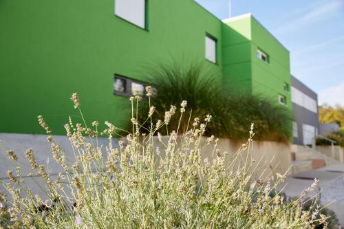 Good Rooms GmbH Guntramsdorf - image 2