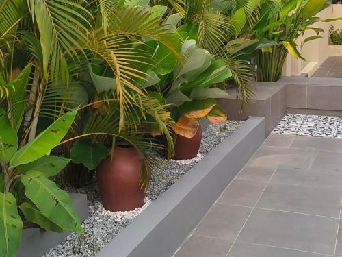 Laman Zavilla Dhoma 2 Laman Zavilla Dhoma 2