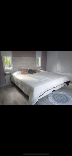 B&B General Roca - Hermosa habitacion con vistas - Bed and Breakfast General Roca