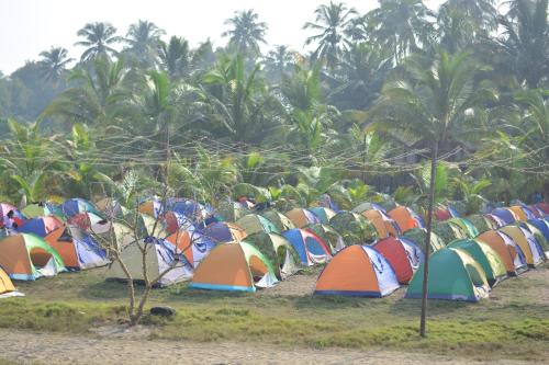 Alibag Beach Camping Ashu