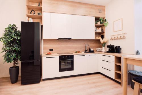 Harmony apartment/9 guests/4 BR / Riga Old Town, Riga (foto 2)