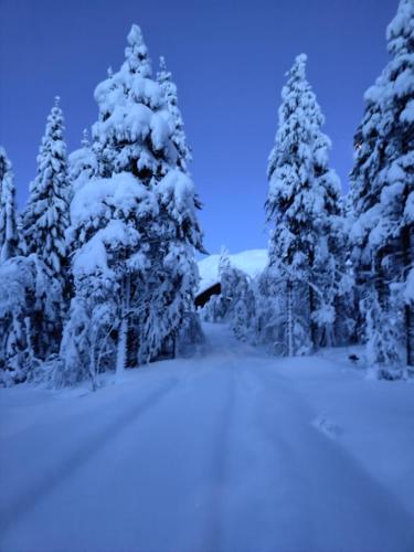 Exterior view, Tronstadbu- 1800s Cabin near Geirangerfjord & Slogen Hike in Hellesylt