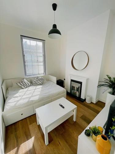 Cosy 1 bedroom flat on Gray's Inn Road